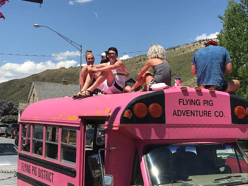Flying Pig Adventure Company image