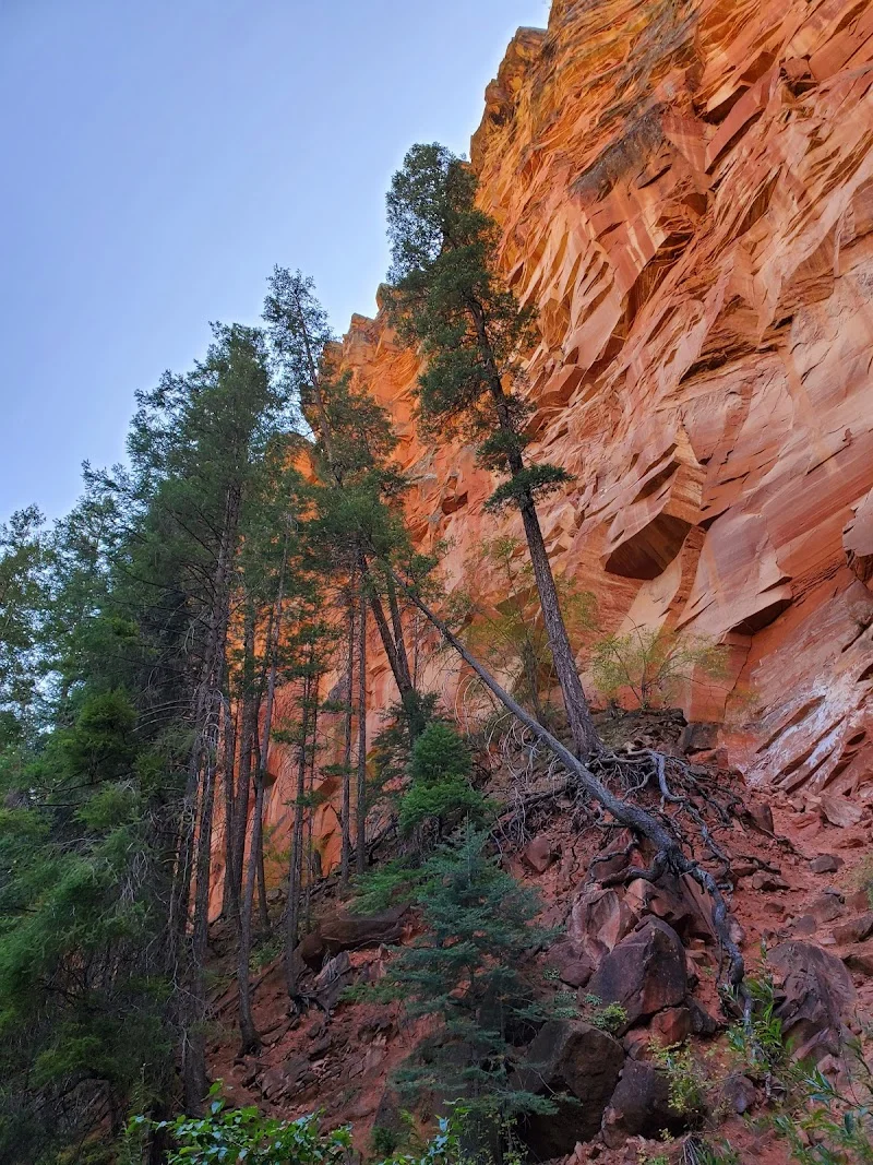 West Fork Oak Creek Trail image