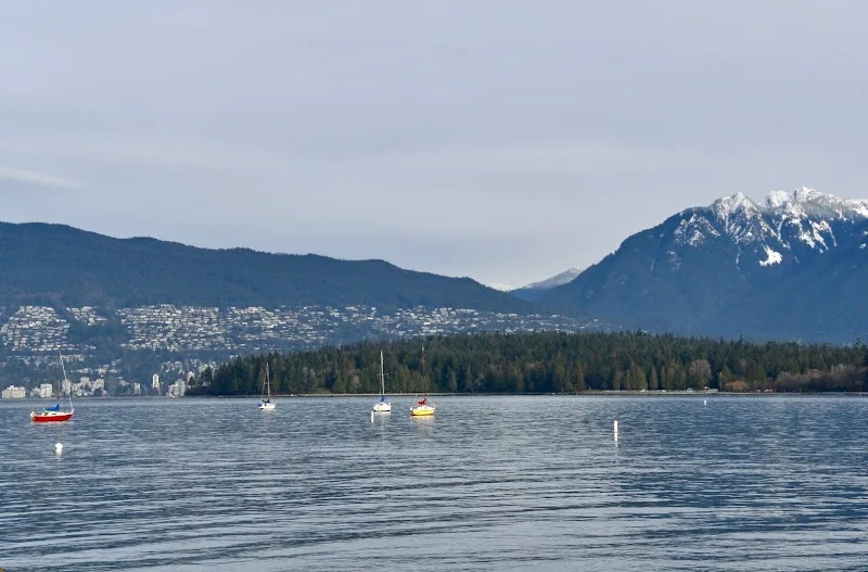 Kitsilano Beach image