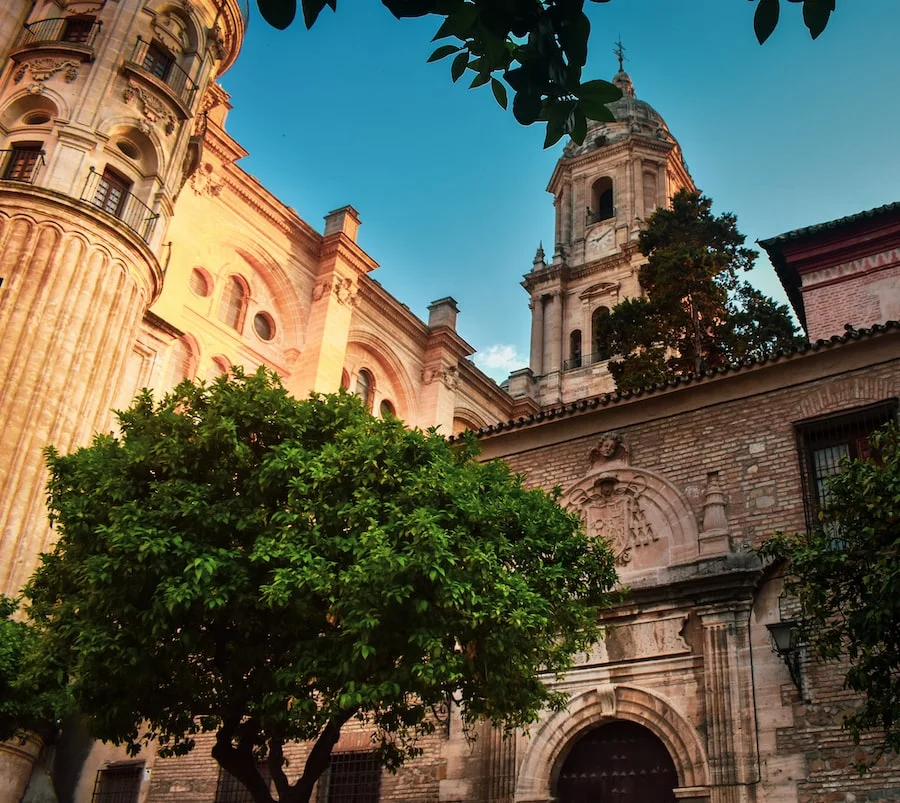 Malaga Cathedral image