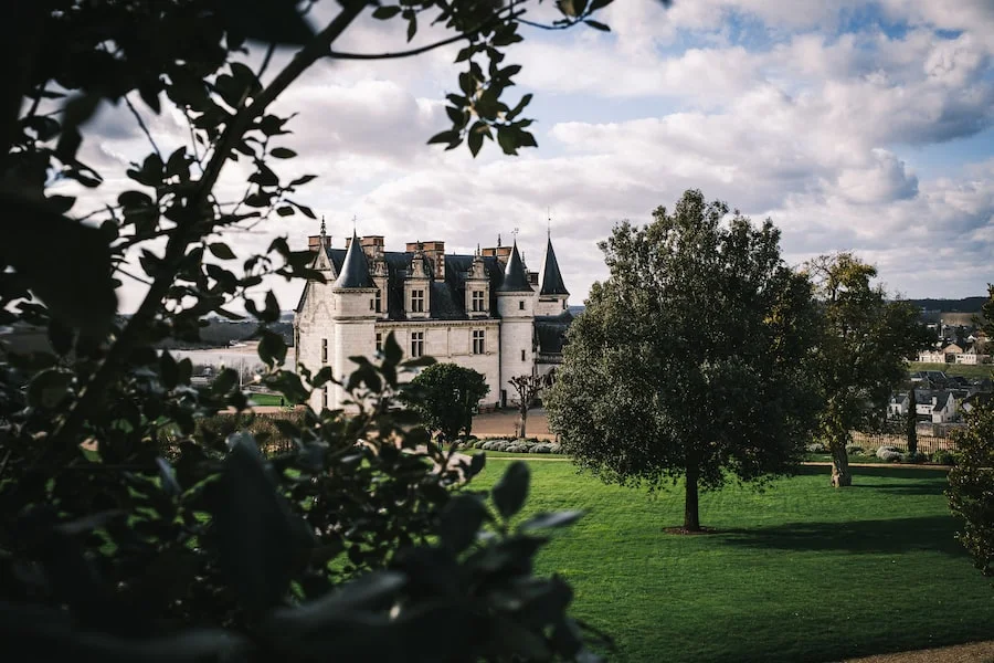 Château Royal d'Amboise image