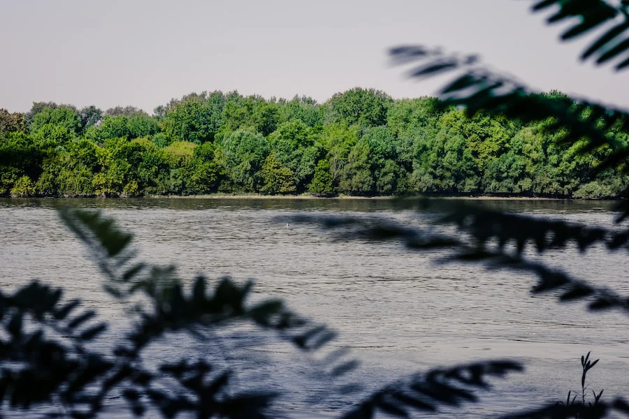 Danube River image