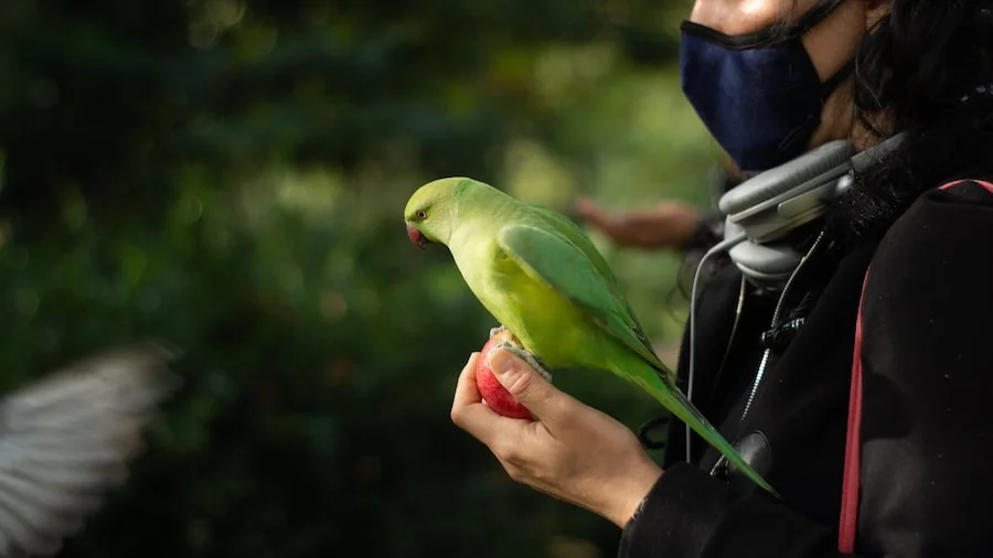 St. James's Park image