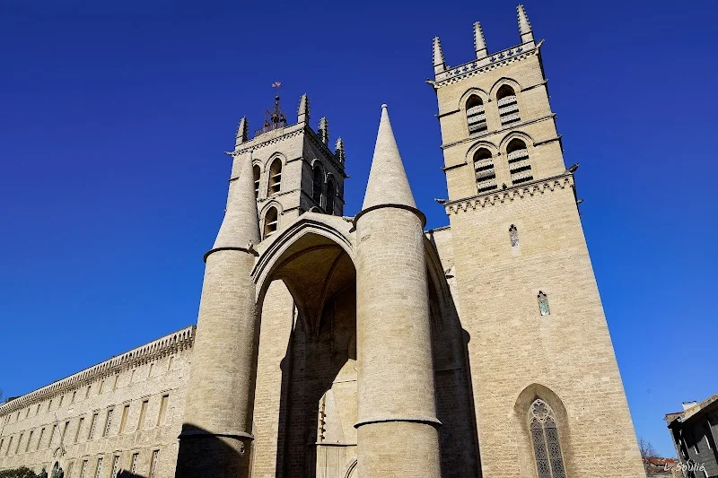 Cathedrale St. Pierre image