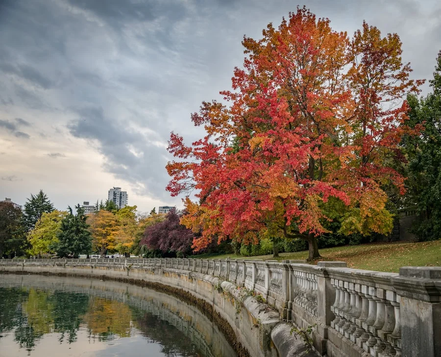 Stanley Park image