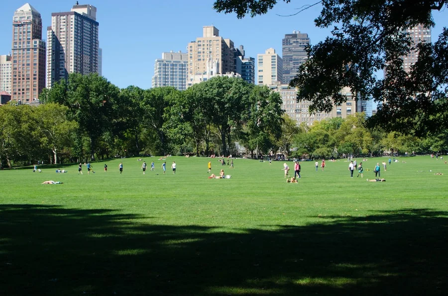 Central Park image