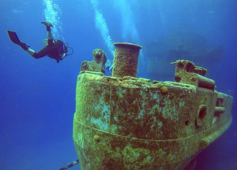 Kittiwake Shipwreck &amp; Artificial Reef image