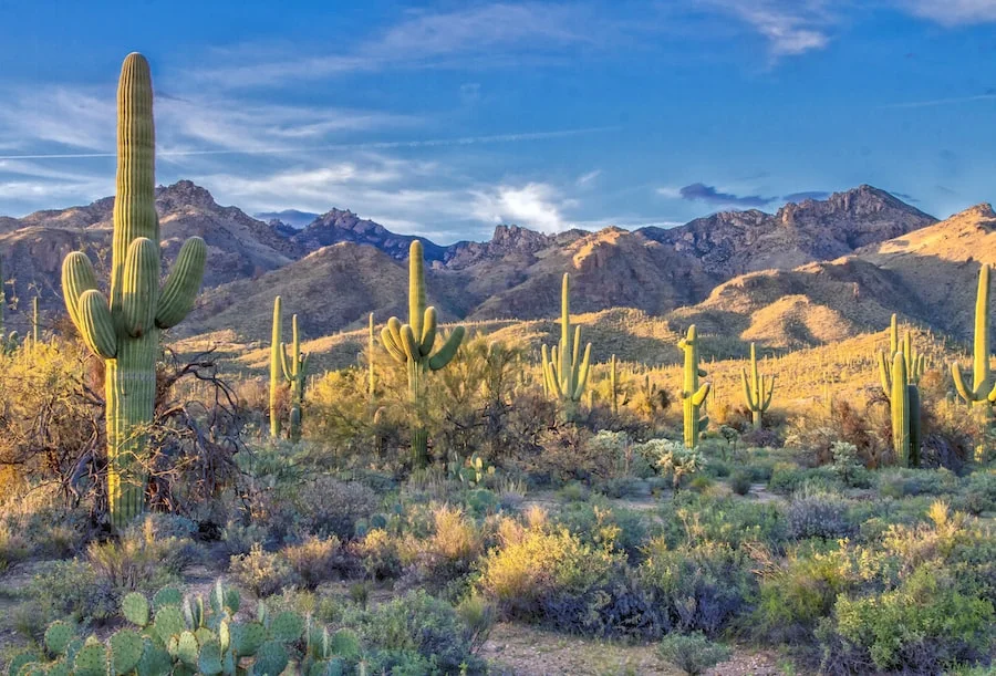 Sabino Canyon image