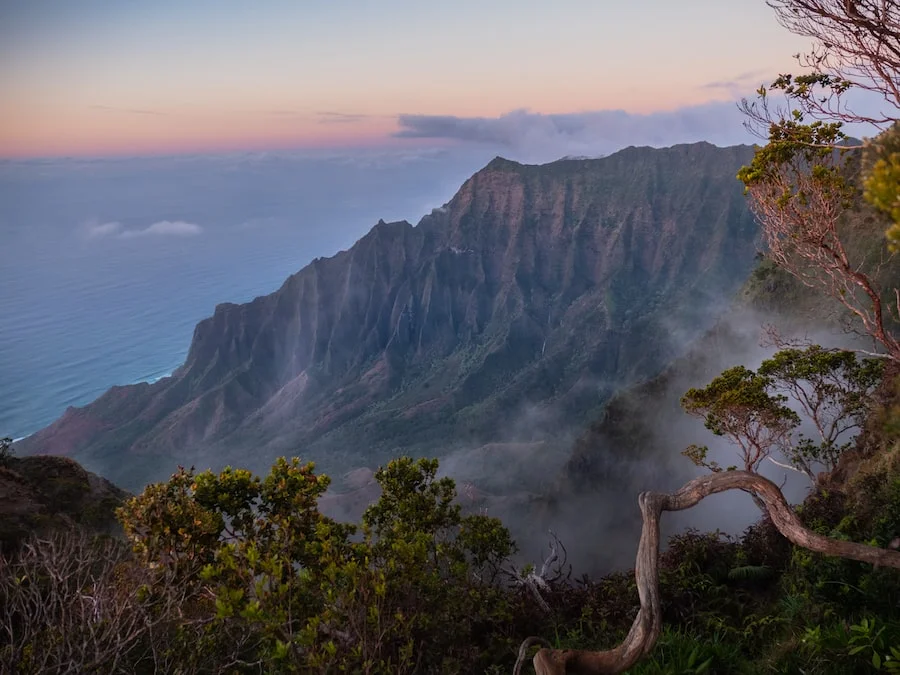 Waimea Canyon State Park image