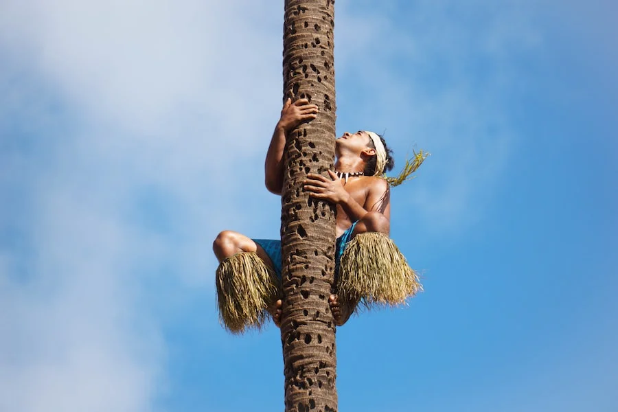 Polynesian Cultural Center image