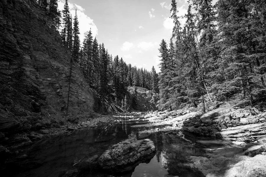 Maligne Canyon image