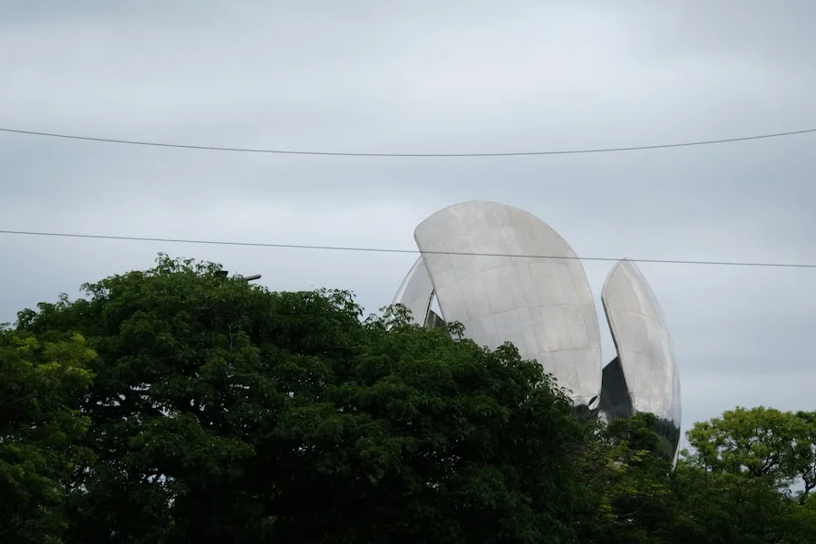 Floralis Generica image