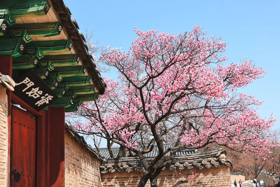 Changdeokgung Palace image