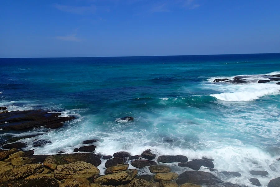 Bondi to Coogee Walk image