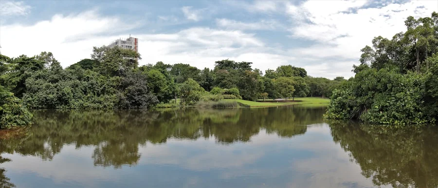 Singapore Botanic Gardens image