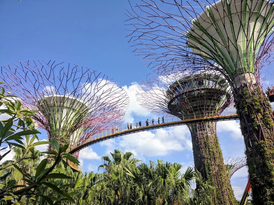 Gardens by the Bay image