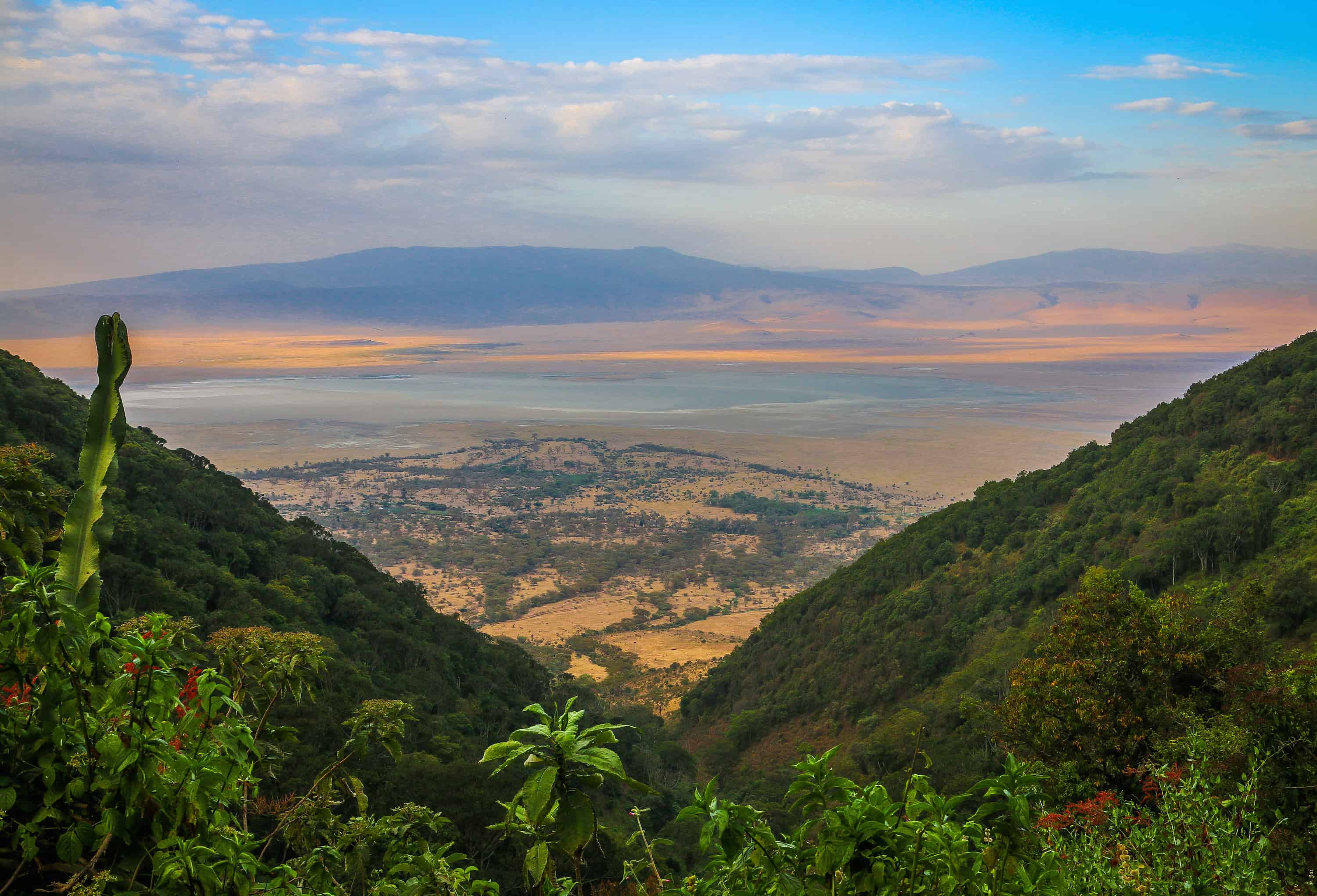 Ngorongoro Crater image