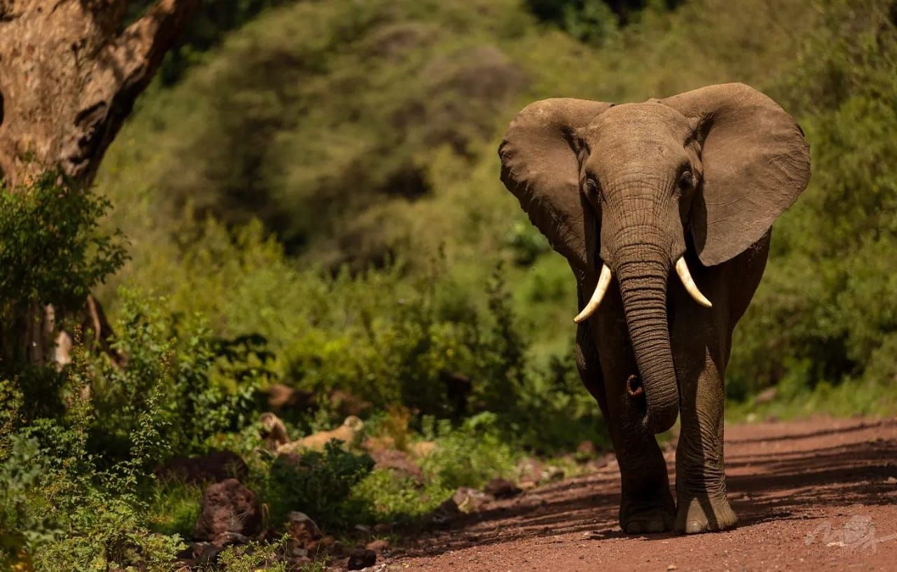 Adventure Tour image