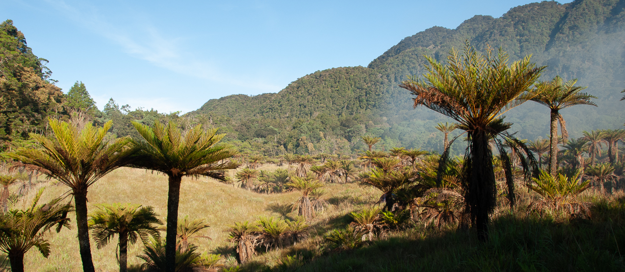 Papua New Guinea image