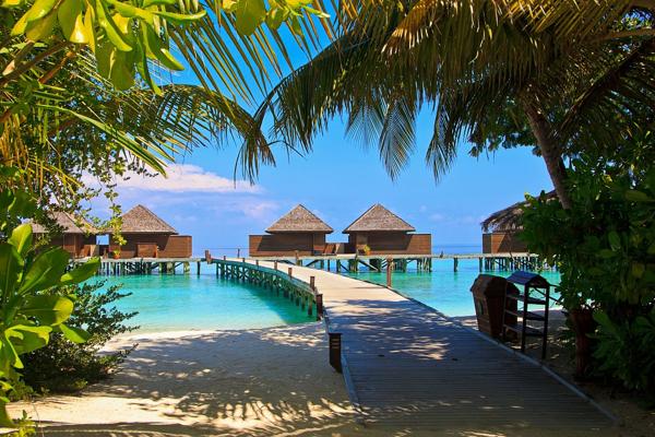 Maldives image