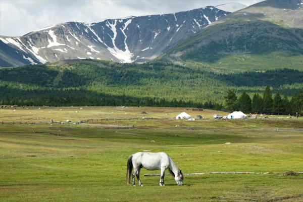 Mongolia image