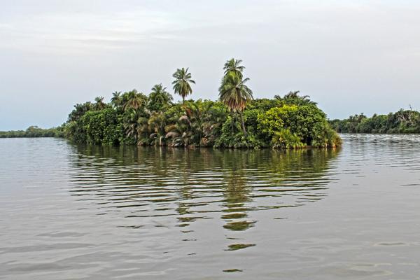 Gambia image