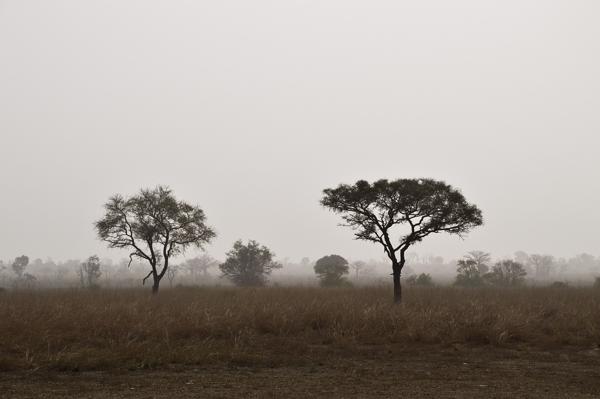 Benin image