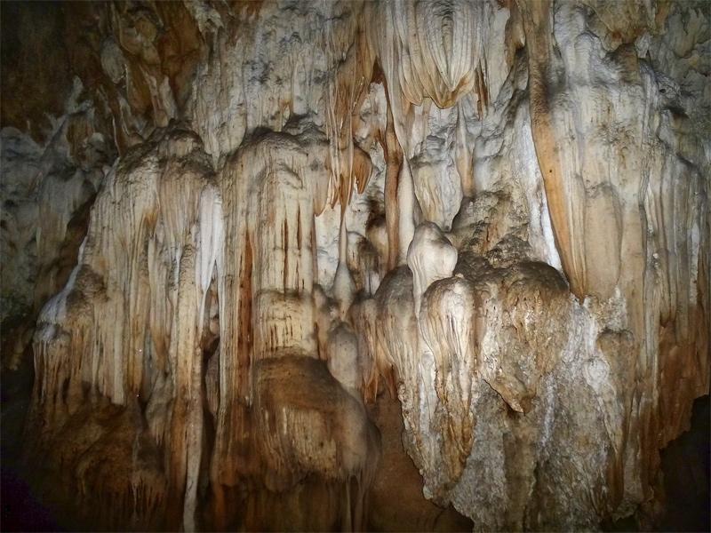 Luang Namtha Province
