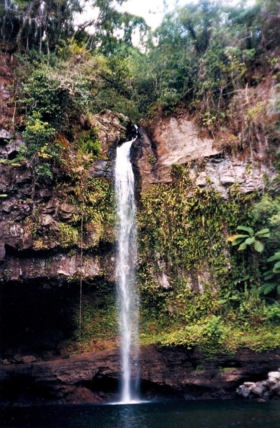 Taveuni Island