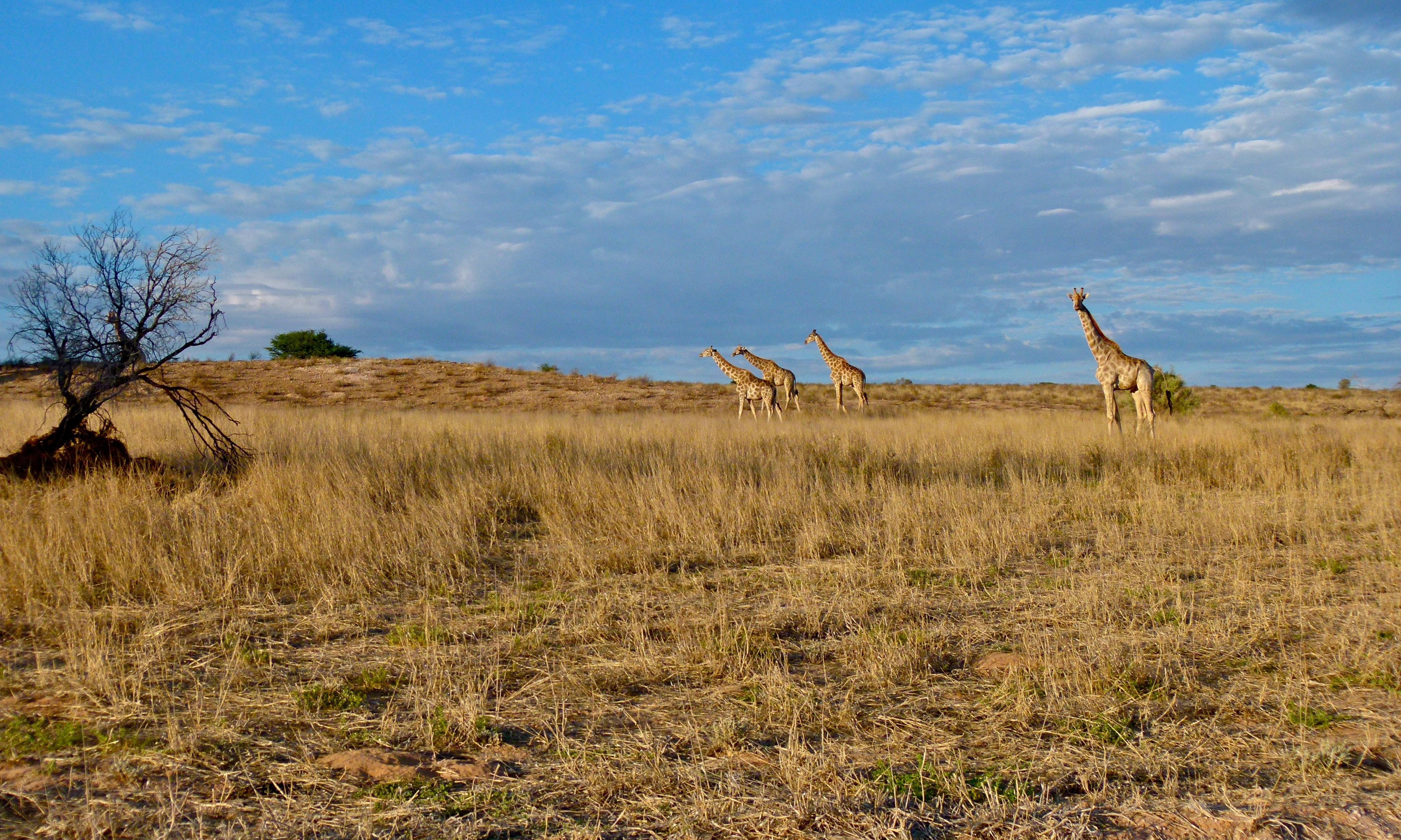 Hardap Region