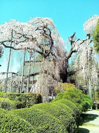 Jiun-ji Temple
