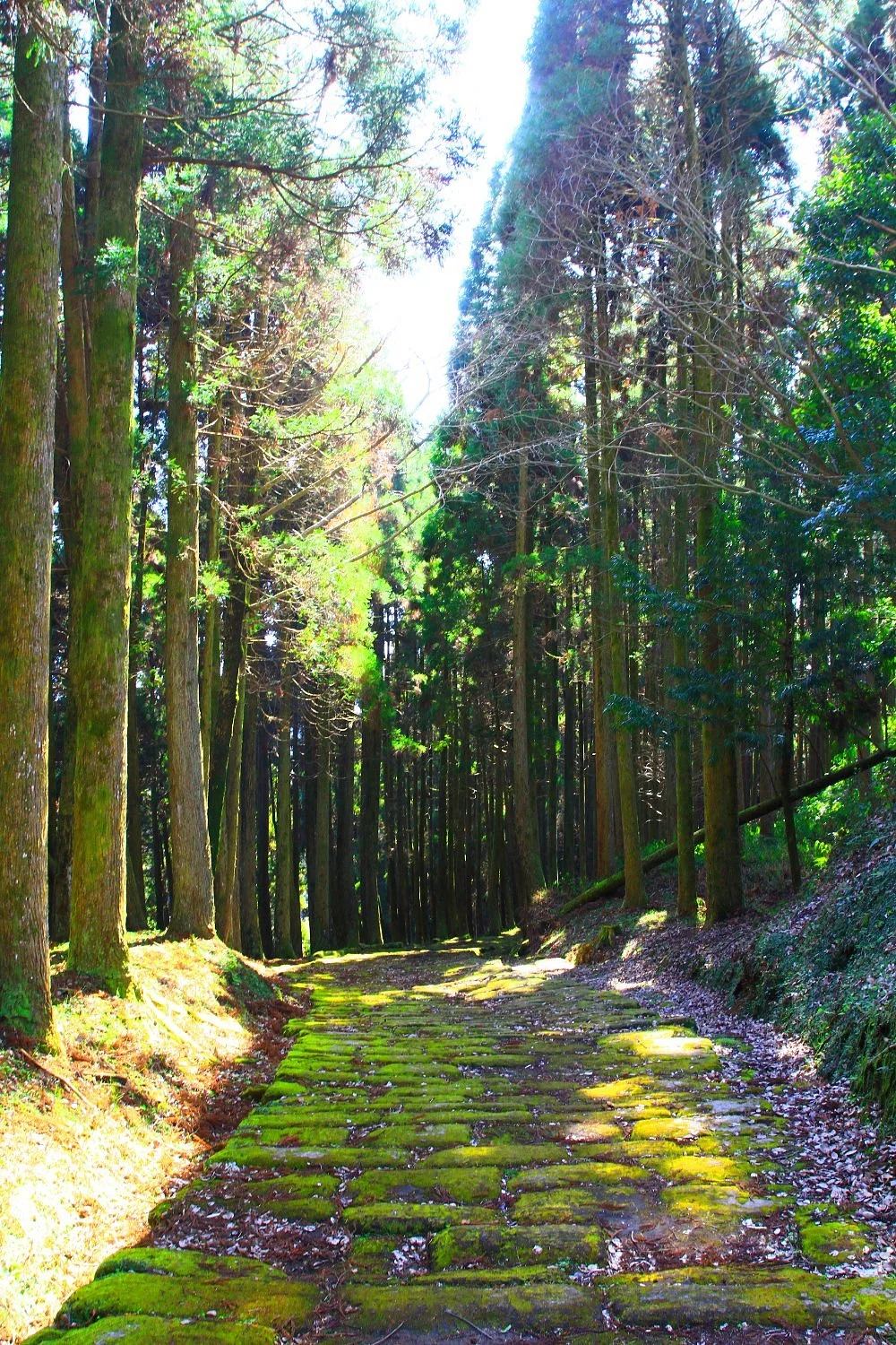 Tatsumonjizaka