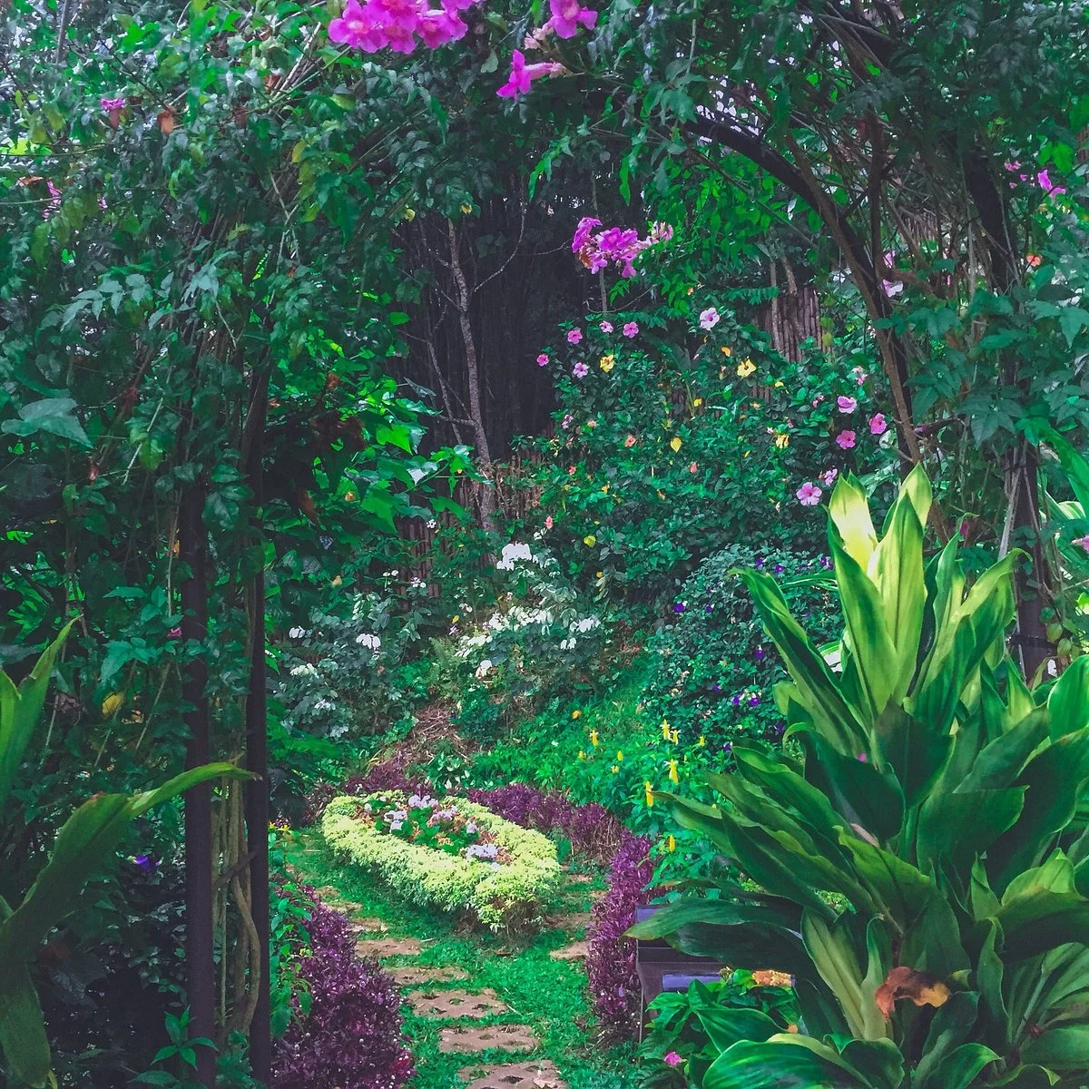Terrazas de Flores