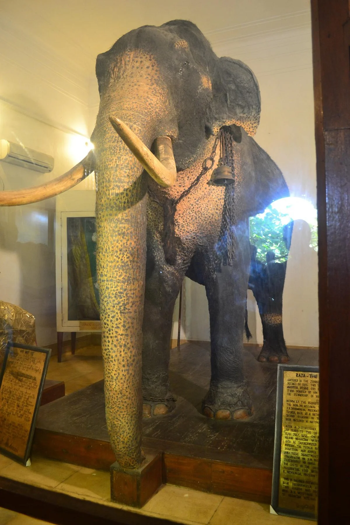 Raja Museum