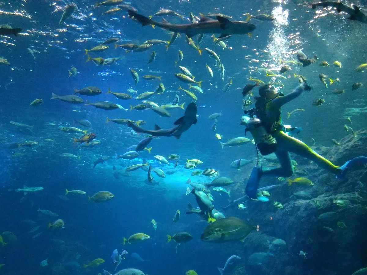 Enoshima Aquarium