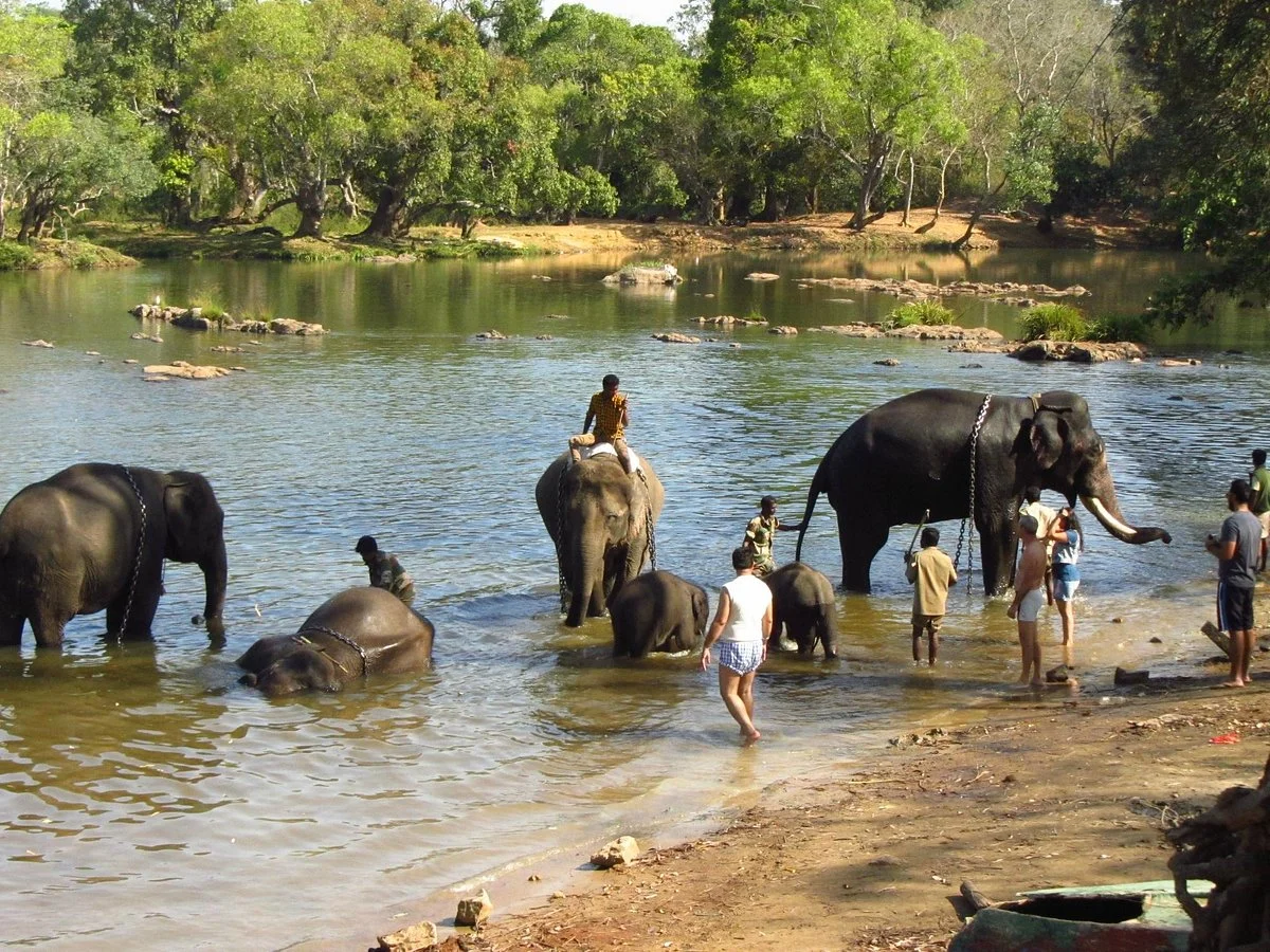 Dubare Elephant Camp