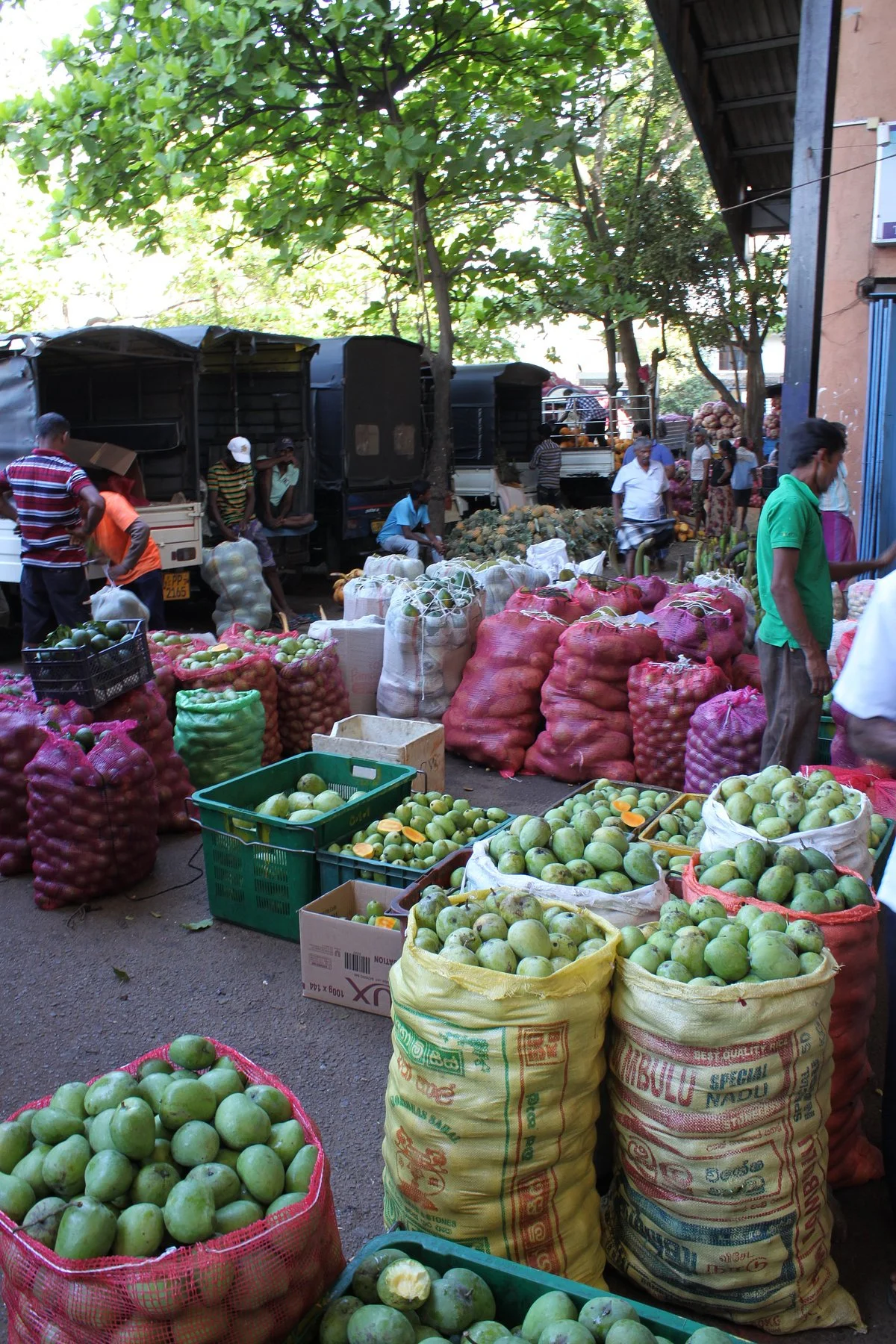 Dambulla Dedicated Economic Centre