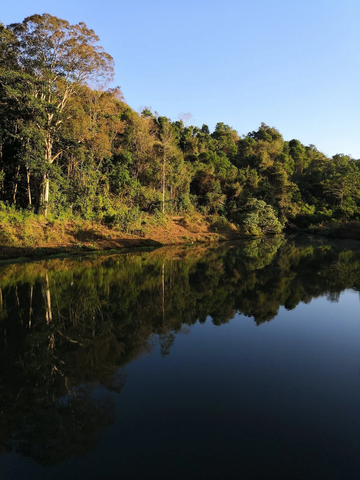Seima Protection Forest
