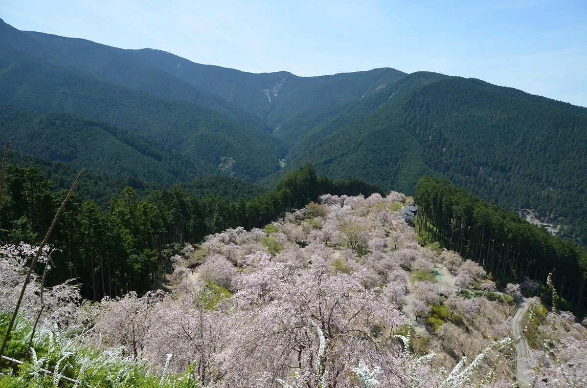 Takaminosato