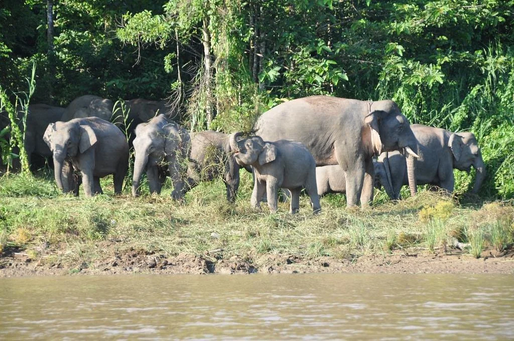 Sabah