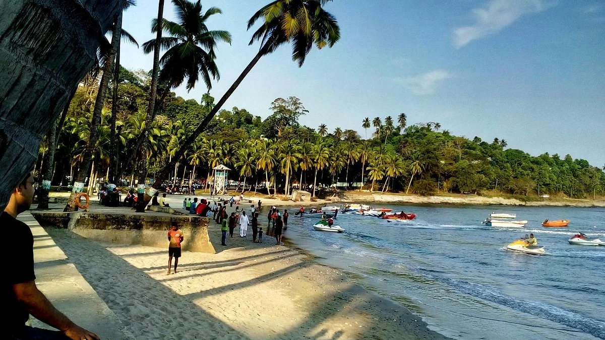 Corbyn's Cove