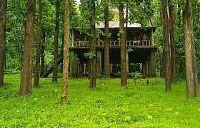 Anamalai Tiger Reserve