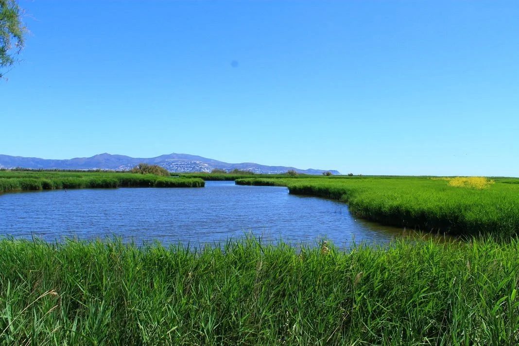 Parc Natural dels Aiguamolls de l'Emporda