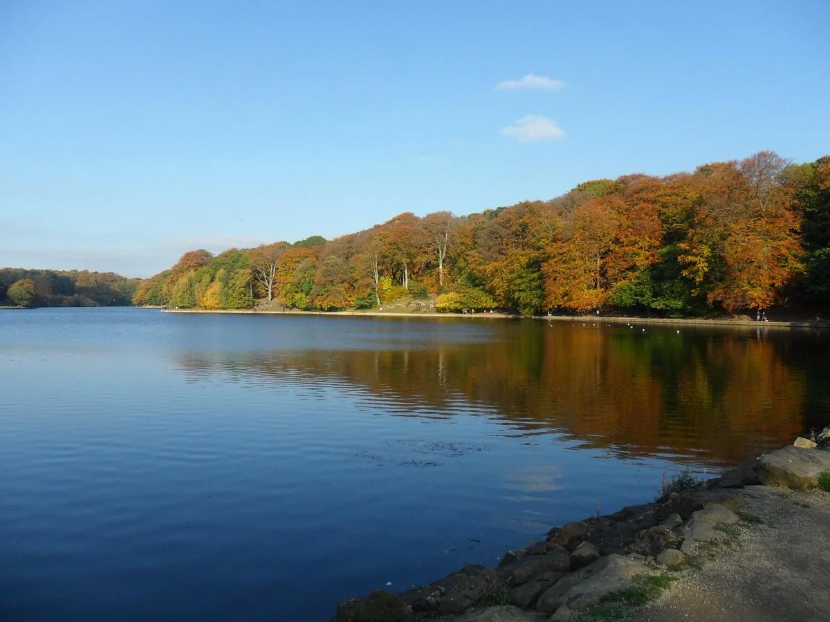 Roundhay Park