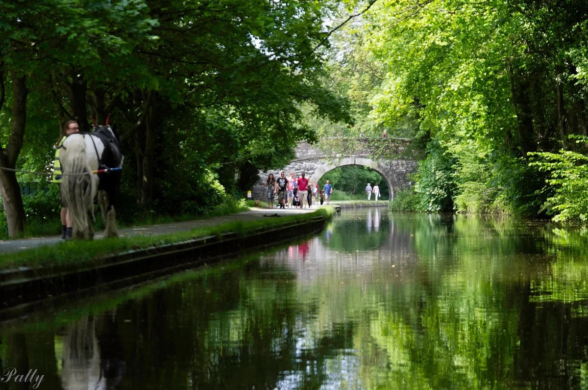 Llangollen Canal