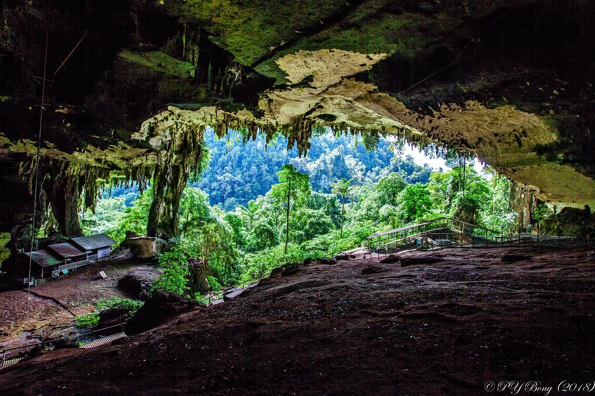 Niah Caves