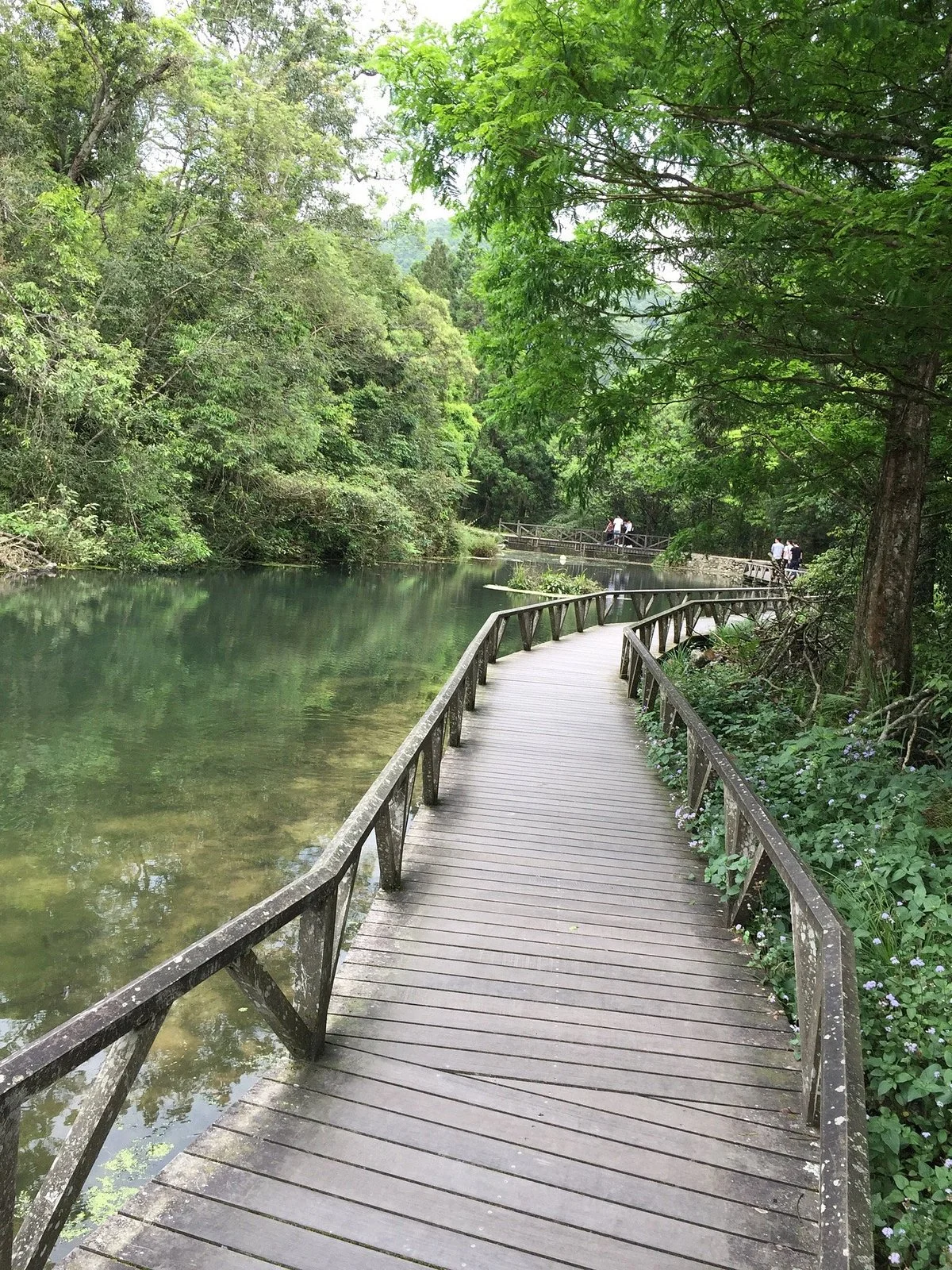 Fushan Botanical Garden