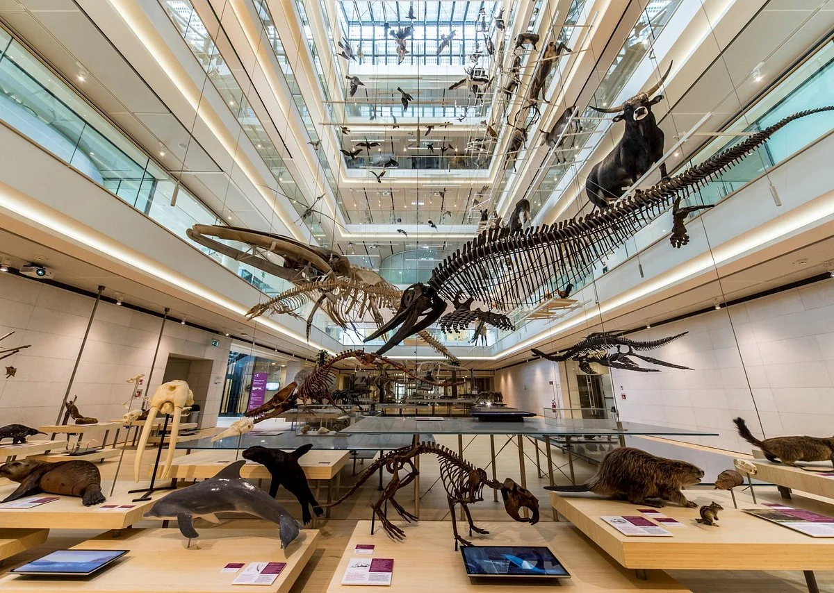 MUSE - Science Museum