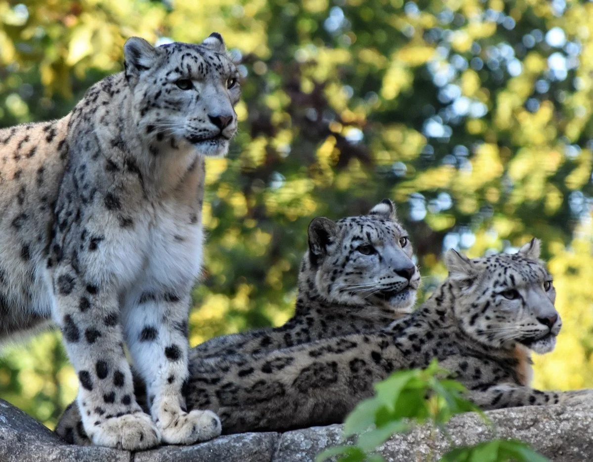 Zoo Basel