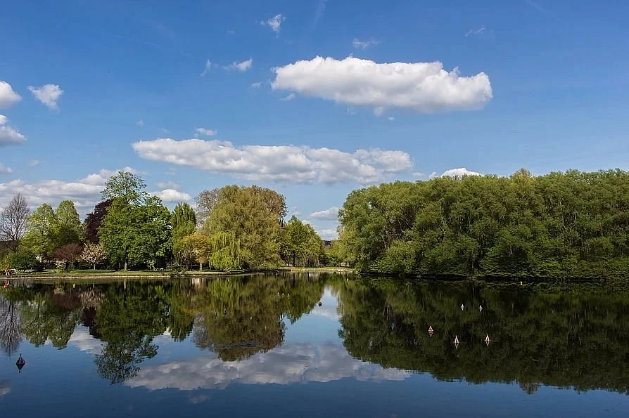 Rheinaue